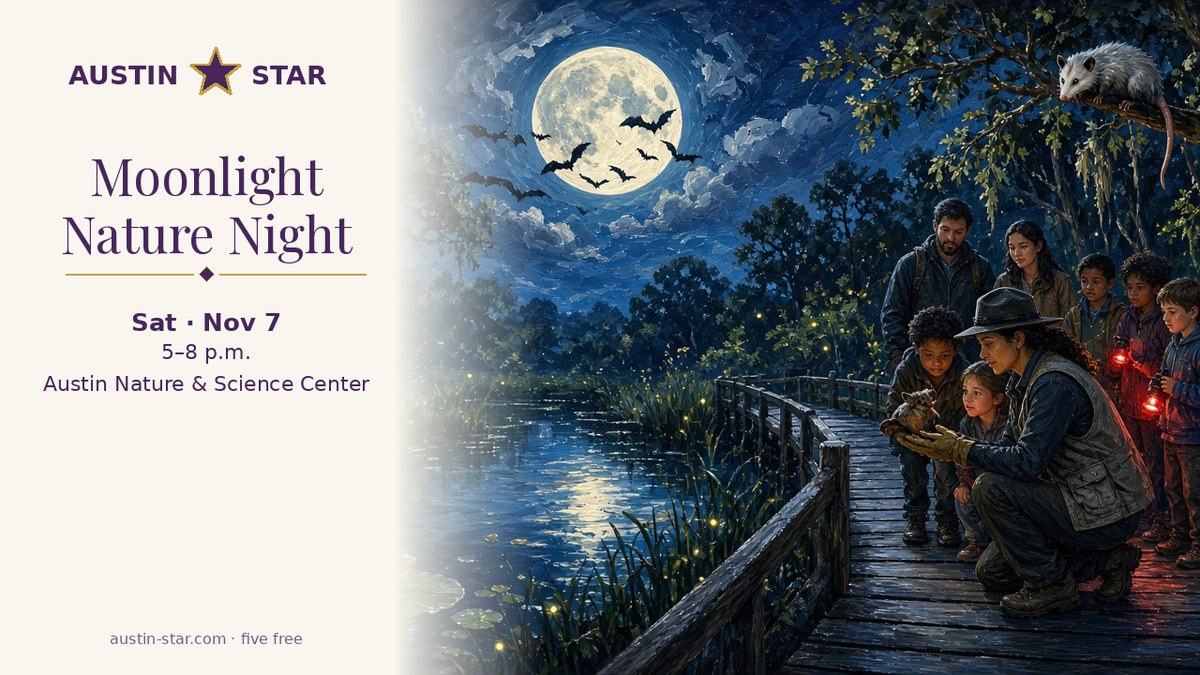 Illustration — Moonlight Nature Night